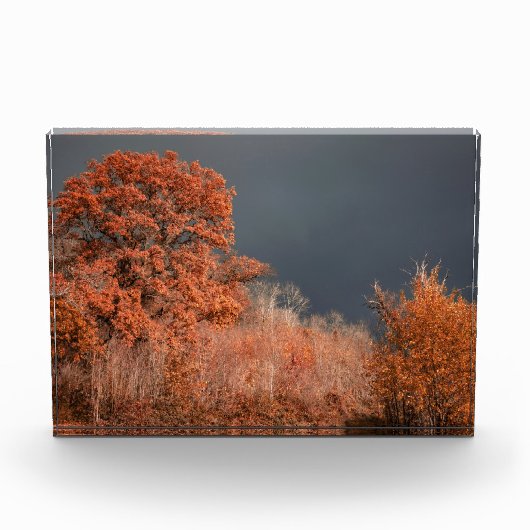 Stürmischer Herbst Fotoblock (Vorderseite)