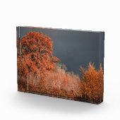 Stürmischer Herbst Fotoblock (Rechts)