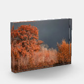 Stürmischer Herbst Fotoblock (Links)