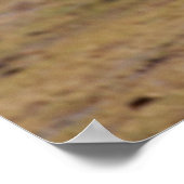 Stürmischer Jäger - afrikanischer Vergewaltiger im Poster (Ecke)