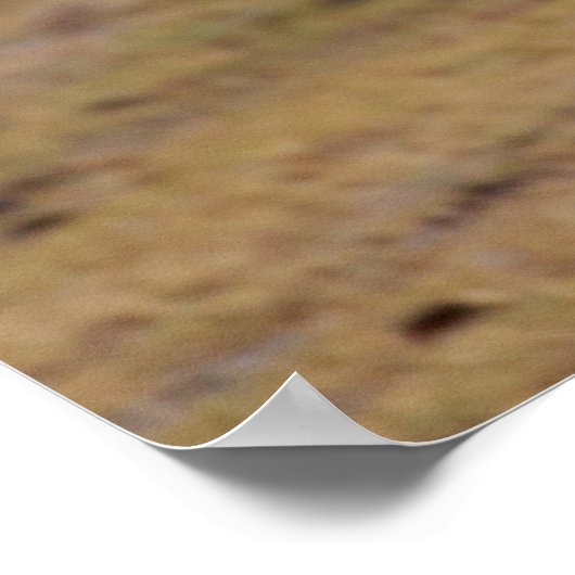 Stürmischer Jäger - afrikanischer Vergewaltiger im Poster (Ecke)