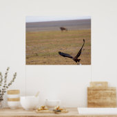 Stürmischer Jäger - afrikanischer Vergewaltiger im Poster (Küche)