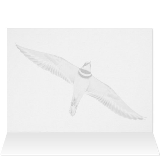 Stürmischer Killdeer (Innenansicht Horizontal (Oben))