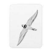 Stürmischer Killdeer Magnet (Vertikal)
