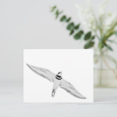 Stürmischer Killdeer Postkarte (Stehend Vorderseite)