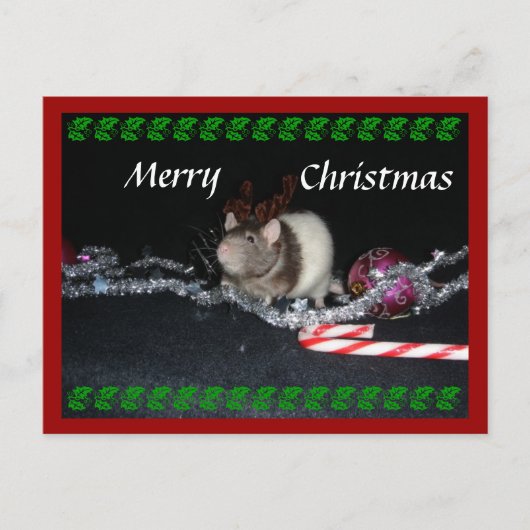 Stürmisches Weihnachten (Vorderseite)