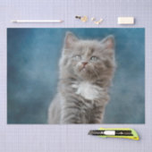 Sturmpapier Seidenpapier (Handwerk)