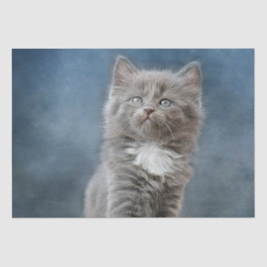 Sturmpapier Seidenpapier (Vorderseite)