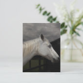 Sturmpferd Postkarte (Stehend Vorderseite)
