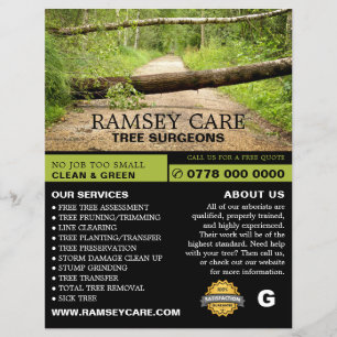 Sturmschaden - Baumchirurg - Arborist Flyer
