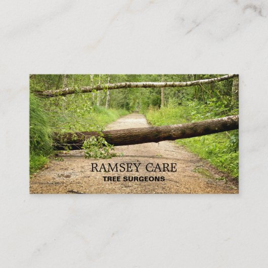 Sturmschaden - Baumchirurg - Arborist Visitenkarte (Vorderseite)
