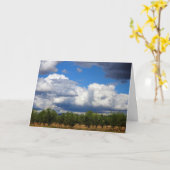 Sturmwolken über dem spanischen Olivenhain Karte (Gelbe Blume)