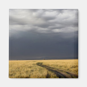 Sturmwolken und Straße durch gassy Ebenen der Magnet