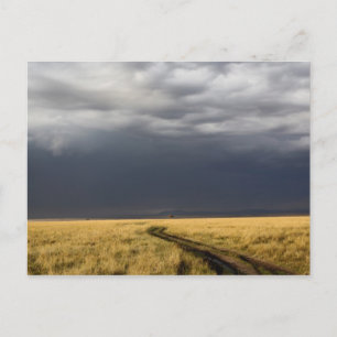 Sturmwolken und Straße über gasige Ebenen der Postkarte