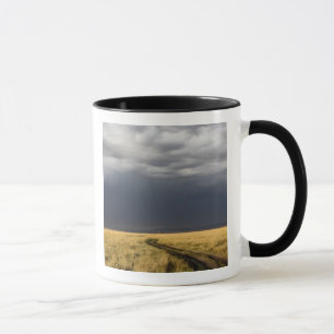 Sturmwolken und Straße über gassy Ebenen der Tasse