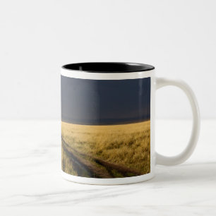 Sturmwolken und Straße über gassy Ebenen der Zweifarbige Tasse