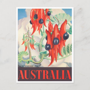 Sturt Desert Erbse Australien Vintage Reise Postkarte