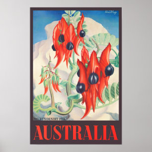 Sturt Desert Pea Australia Vintage Reise Poster