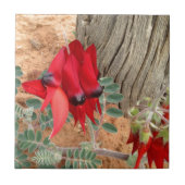 Sturt's Desert Pea-Quadrat Fliese (Vorderseite)