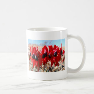 Sturts Wüsten-Erbse Kaffeetasse