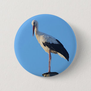 Sturz am Pol Button