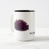 Sturzhelm-Bengel, Colobocentrotus atratus Zweifarbige Tasse (Vorderseite Links)