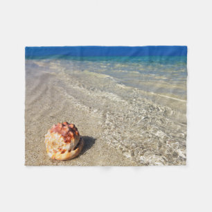 Sturzhelm-Muschel in tropischem Lagoon  Cassis Fleecedecke