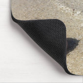 Sturzhelm-Muschel in tropischem Lagoon| Cassis Mousepad (Ecke)