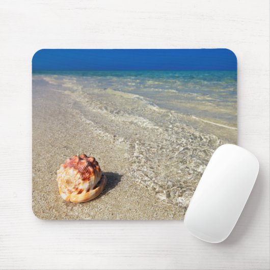 Sturzhelm-Muschel in tropischem Lagoon| Cassis Mousepad (Mit Mouse)