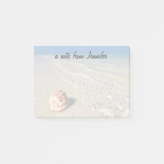 Sturzhelm-Muschel in tropischem Lagoon| Cassis Post-it Klebezettel (Vorderseite)