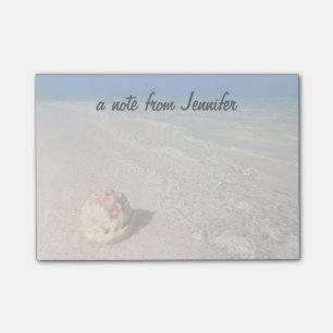 Sturzhelm-Muschel in tropischem Lagoon  Cassis Post-it Klebezettel