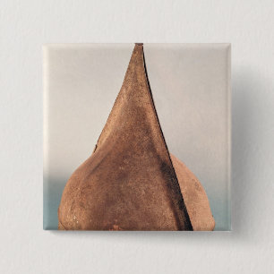 Sturzhelm, von Bernieres d'Ailly Button