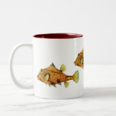 SturzhelmCowfish Zweifarbige Tasse (Links)