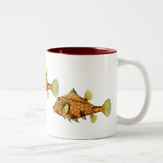 SturzhelmCowfish Zweifarbige Tasse