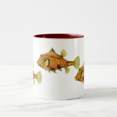 SturzhelmCowfish Zweifarbige Tasse (Mittel)
