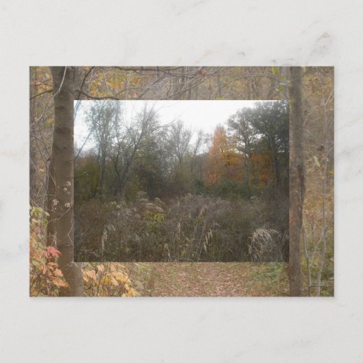 Sturzwild Postkarte (Vorderseite)