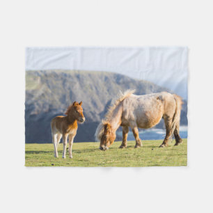 Stute mit Fohlen, Shetland-Inseln, Schottland Fleecedecke