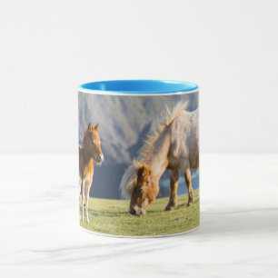 Stute mit Fohlen, Shetland-Inseln, Schottland Tasse