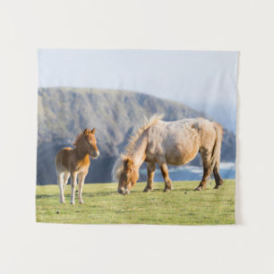 Stute mit Fohlen, Shetland-Inseln, Schottland Wandteppich