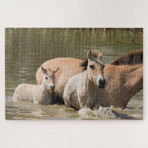 Stute mit Fohlen überquert einen Fluss Puzzle