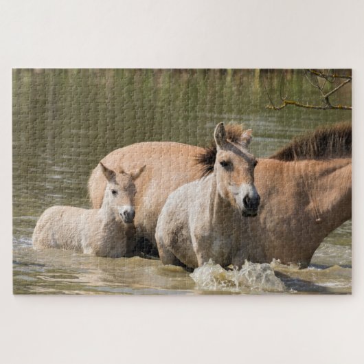 Stute mit Fohlen überquert einen Fluss Puzzle (Horizontal)