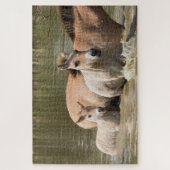 Stute mit Fohlen überquert einen Fluss Puzzle (Vertikal)