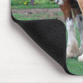 Stute und Colt 2 mousepad (Ecke)