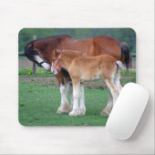 Stute und Colt 2 mousepad (Mit Mouse)
