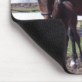 Stute und Colt Mousepad (Ecke)