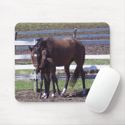 Stute und Colt Mousepad (Mit Mouse)
