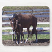 Stute und Colt Mousepad (Vorne)