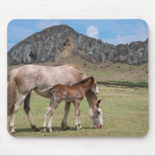 Stute und Fohlen am Vulkankrater von Rano Raraku Mousepad