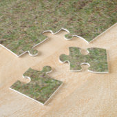 Stute und Fohlen am Vulkankrater von Rano Raraku Puzzle (Seite)