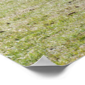 Stute und Fohlen beim Gehen Poster (Ecke)